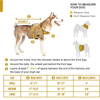 Dog Pack Hound Travel Camping Vandring Ryggsäck Sadelväska Ryggsäck för medelstor och stor hund